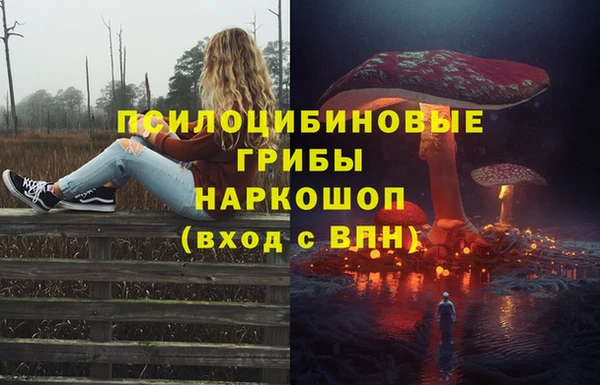 винт Богданович